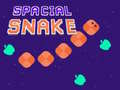 遊戲Spacial Snake