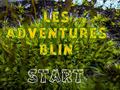 遊戲Les Adventures Blin