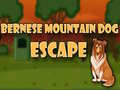 遊戲Bernese Mountain Dog Escape