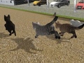 遊戲Run Cat Cat Race