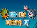 遊戲Fish Eat Getting Big