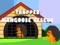 遊戲Trapped Mangoose Rescue