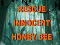 遊戲Rescue Innocent Honey Bee 