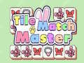 遊戲Tile Match Master