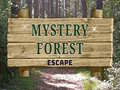 遊戲Mystery Forest