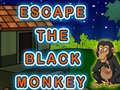 遊戲Escape The Black Monkey