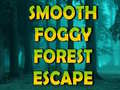遊戲Smooth Foggy Forest Escape 