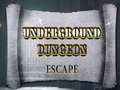 遊戲Underground Dungeon Escape