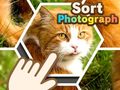 遊戲Sort Photograph