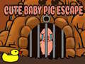 遊戲Cute baby Pig escape