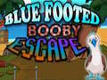 遊戲Blue Footed Booby Escape