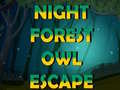 遊戲Night Forest Owl Escape