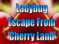 遊戲Ladybug Escape From Cherry Land