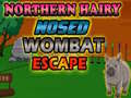 遊戲Northern hairy nosed wombat Escape