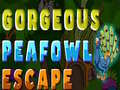 遊戲Gorgeous Peafowl Escape