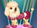 遊戲My Cute Dog Daisy