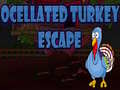 遊戲Ocellated Turkey Escape