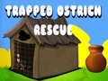遊戲Trapped Ostrich Rescue