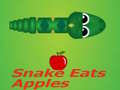 遊戲Snake Eats Apple
