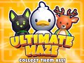 遊戲Ultimate Maze! Collect Them All!