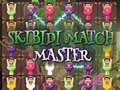 遊戲Skibidi Match Master