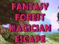 遊戲Fantasy Forest Magician Escape