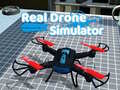 遊戲Real Drone Simulator