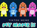 遊戲TikTok Meme My Name Is
