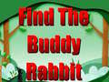 遊戲Find The Buddy Rabbit