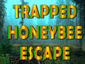 遊戲Trapped Honeybee Escape