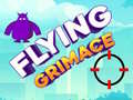 遊戲Flying Grimace