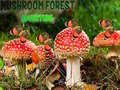 遊戲Mushroom Forest Adventure
