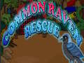 遊戲Common Raven Rescue