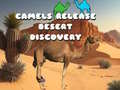 遊戲Camels Release Desert Discovery