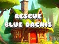 遊戲Rescue Blue Dacnis