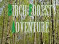 遊戲Birch Forest Adventure