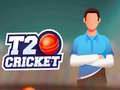 遊戲T20 Cricket