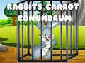 遊戲Rabbits Carrot Conundrum