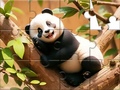 遊戲Jigsaw Puzzle: Panda On Tree