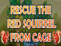 遊戲Rescue The Red Squirrel From Cage