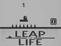 遊戲Leap of Life