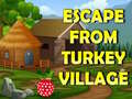 遊戲Escape From Turkey Village