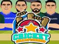 遊戲Cricket Championship