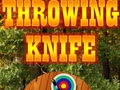 遊戲Throwing Knife
