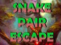 遊戲Snake Pair Escape