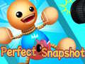 遊戲Perfect Snapshot