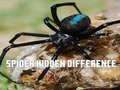 遊戲Spider Hidden Difference