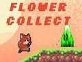 遊戲Flower Collect