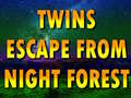 遊戲Twins Escape From Night Forest