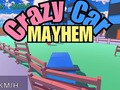 遊戲Crazy Car Mayhem